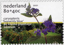 6 zomerzegels